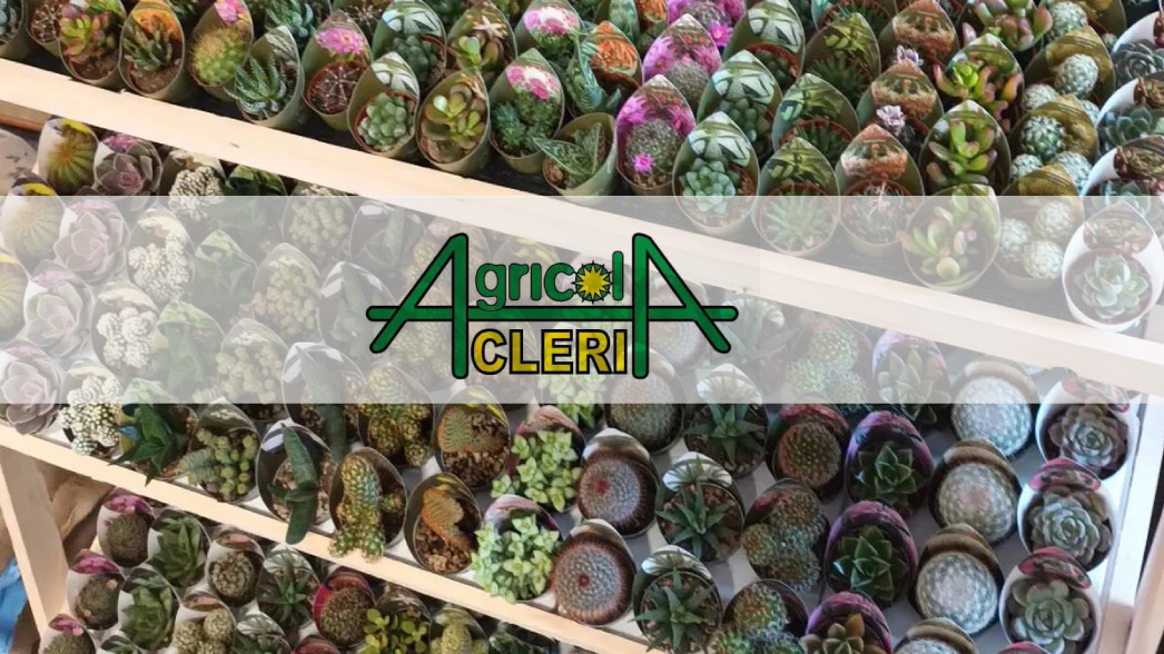 https://www.reteimpresecave.it/immagini_pagine/126/agricola-cleri-126.jpg