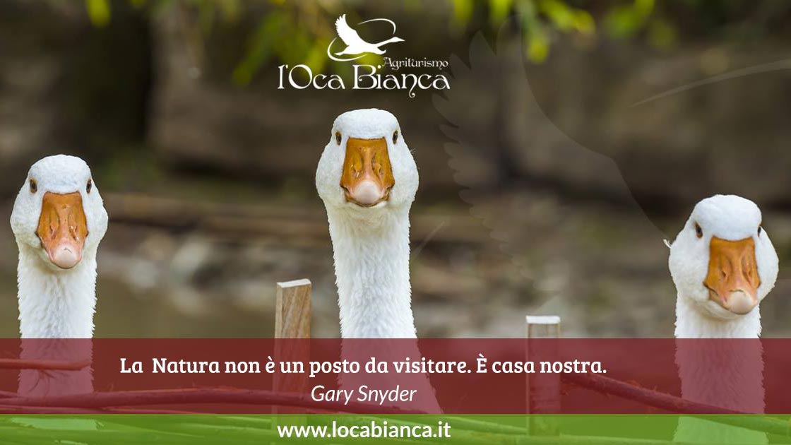 https://www.reteimpresecave.it/immagini_pagine/97/agriturismo-l-oca-bianca-97.jpg